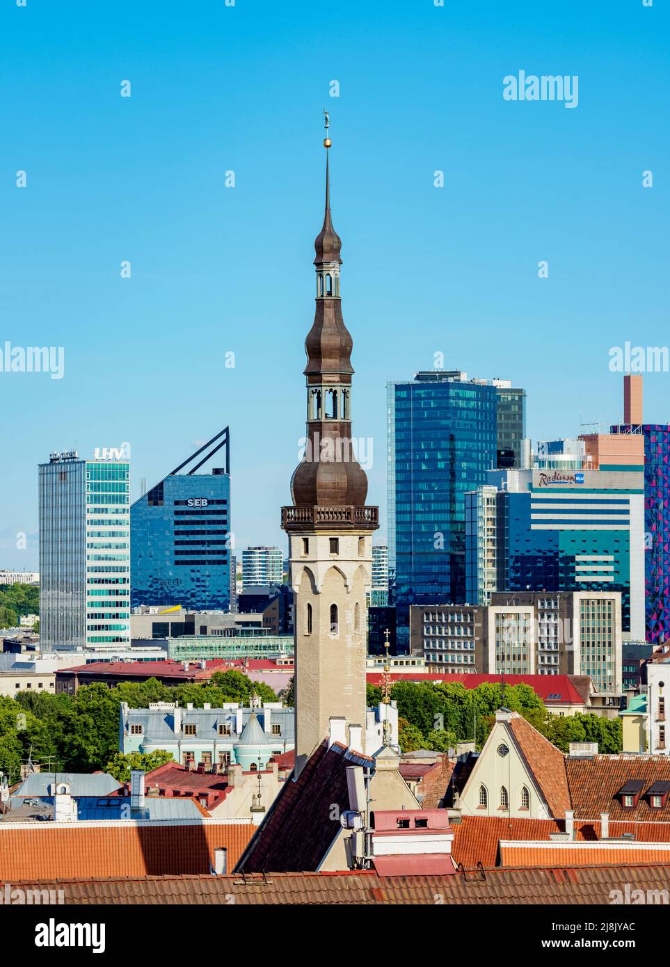 Vista sulla guglia del Municipio verso gli alti edifici, Tallinn, Estonia Foto Stock