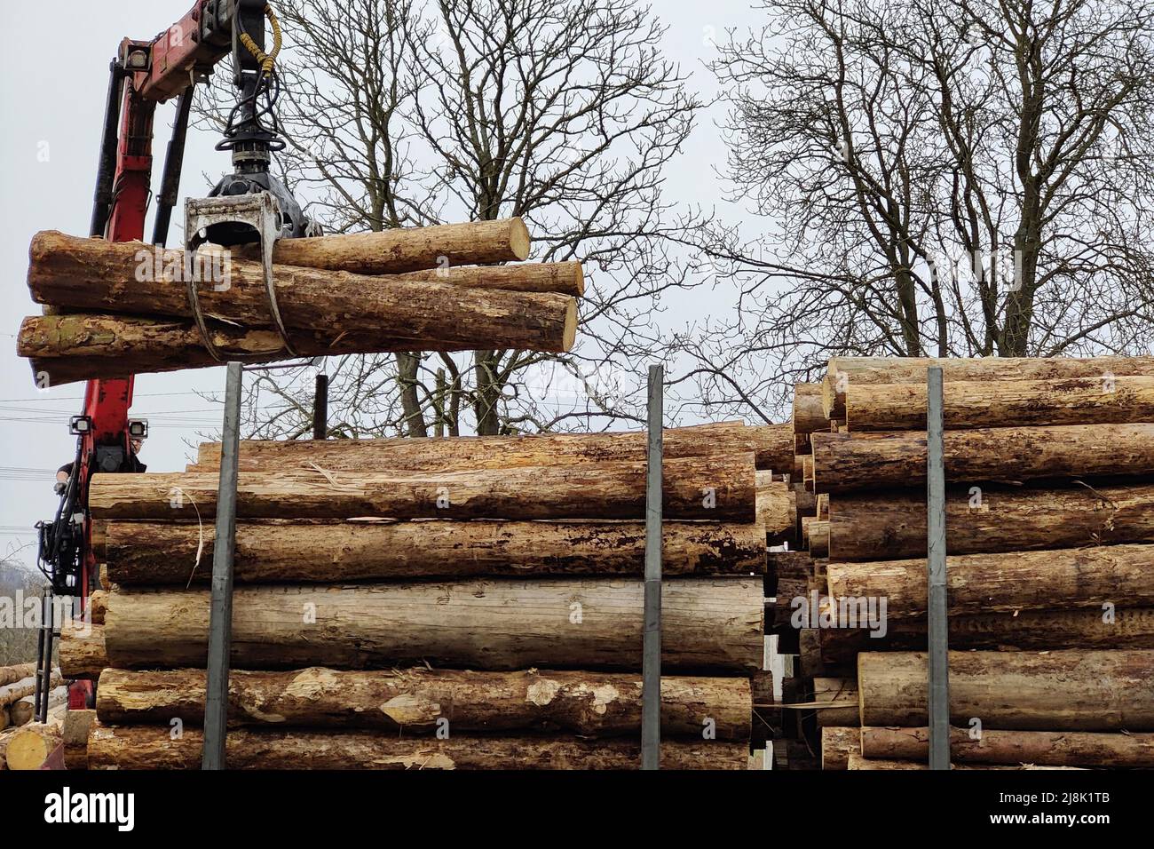 Trasporto di legname per ferrovia, caricamento su un carro di trasporto, Germania, Renania settentrionale-Vestfalia, Ruhr Area, Witten Foto Stock