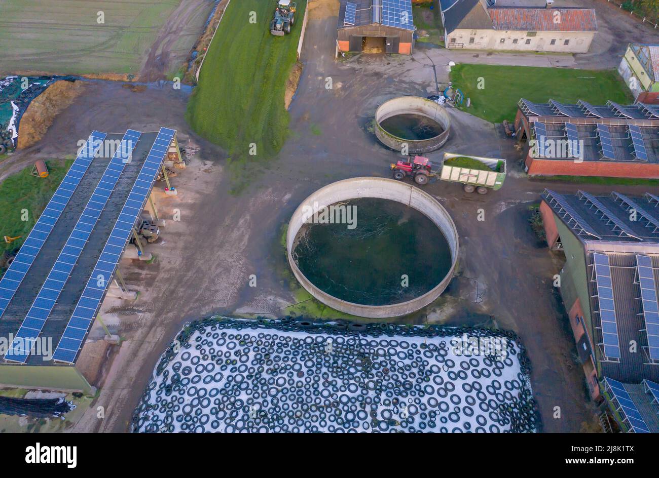 Foto drone con paesaggio di campo con silo e fabbrica, Germania, Schleswig-Holstein Foto Stock