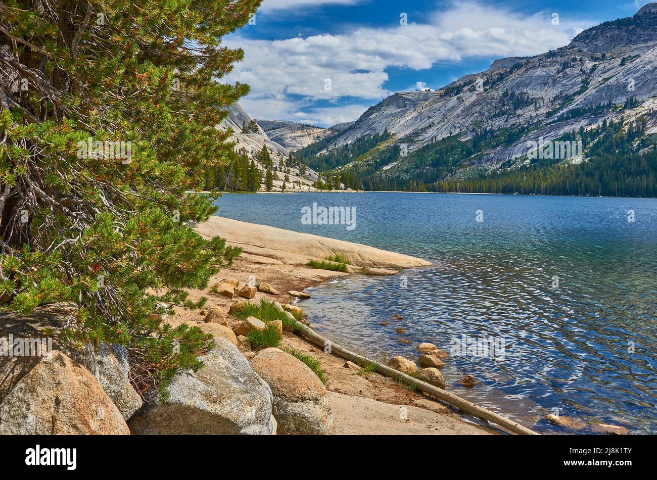 Lago Tenaya con paesaggio di montagna a Tioga Road, Stati Uniti, California, Yosemite National Park Foto Stock