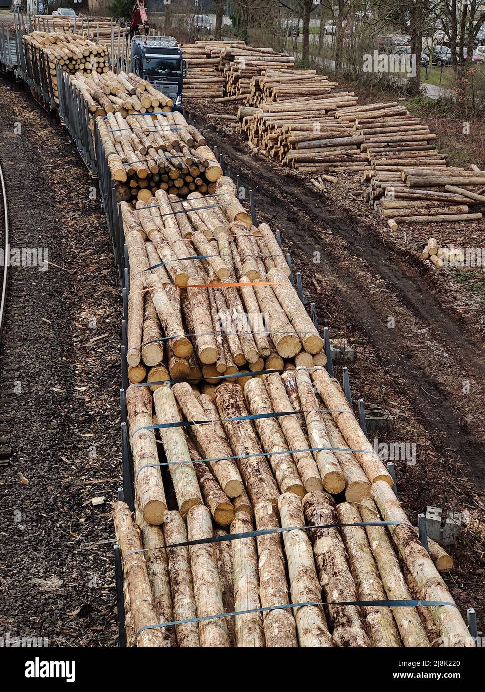 Trasporto di legname per ferrovia, Germania, Renania settentrionale-Vestfalia, Ruhr Area, Witten Foto Stock