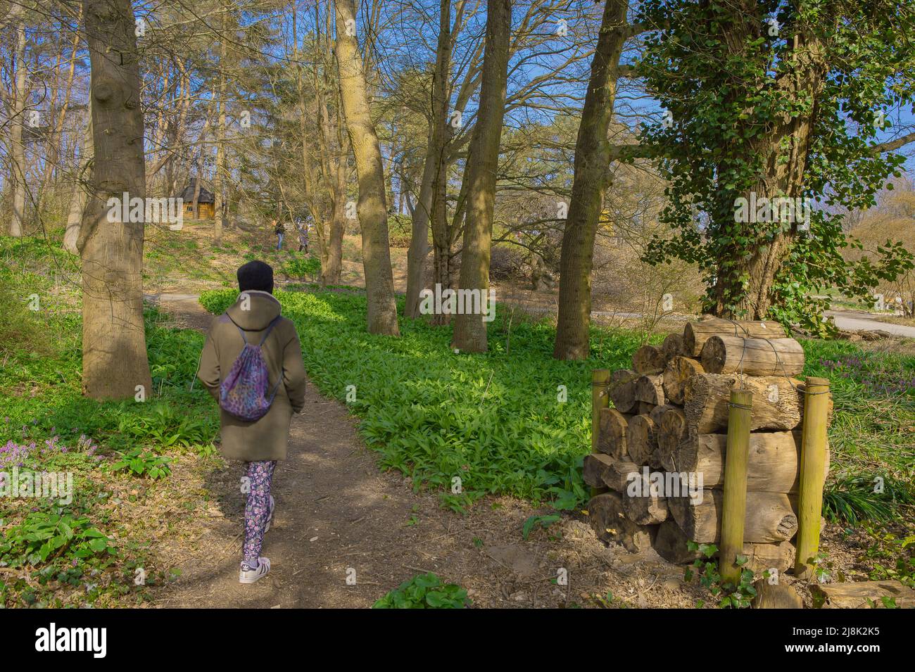 visitatore nel Giardino Botanico, Germania, Amburgo Foto Stock