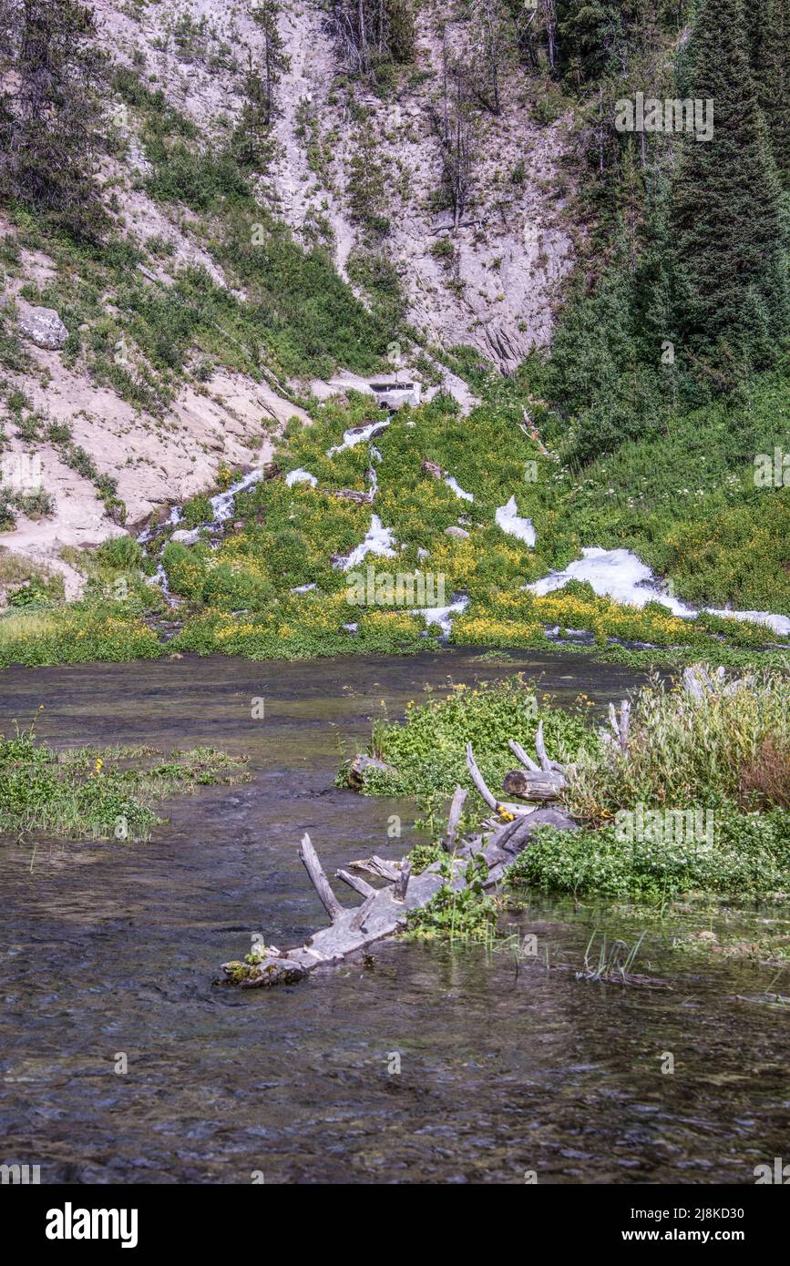 Warm River Springs si stira direttamente da una collina a temperatura e flusso costanti. Island Park, fremont County, Idaho, USA Foto Stock