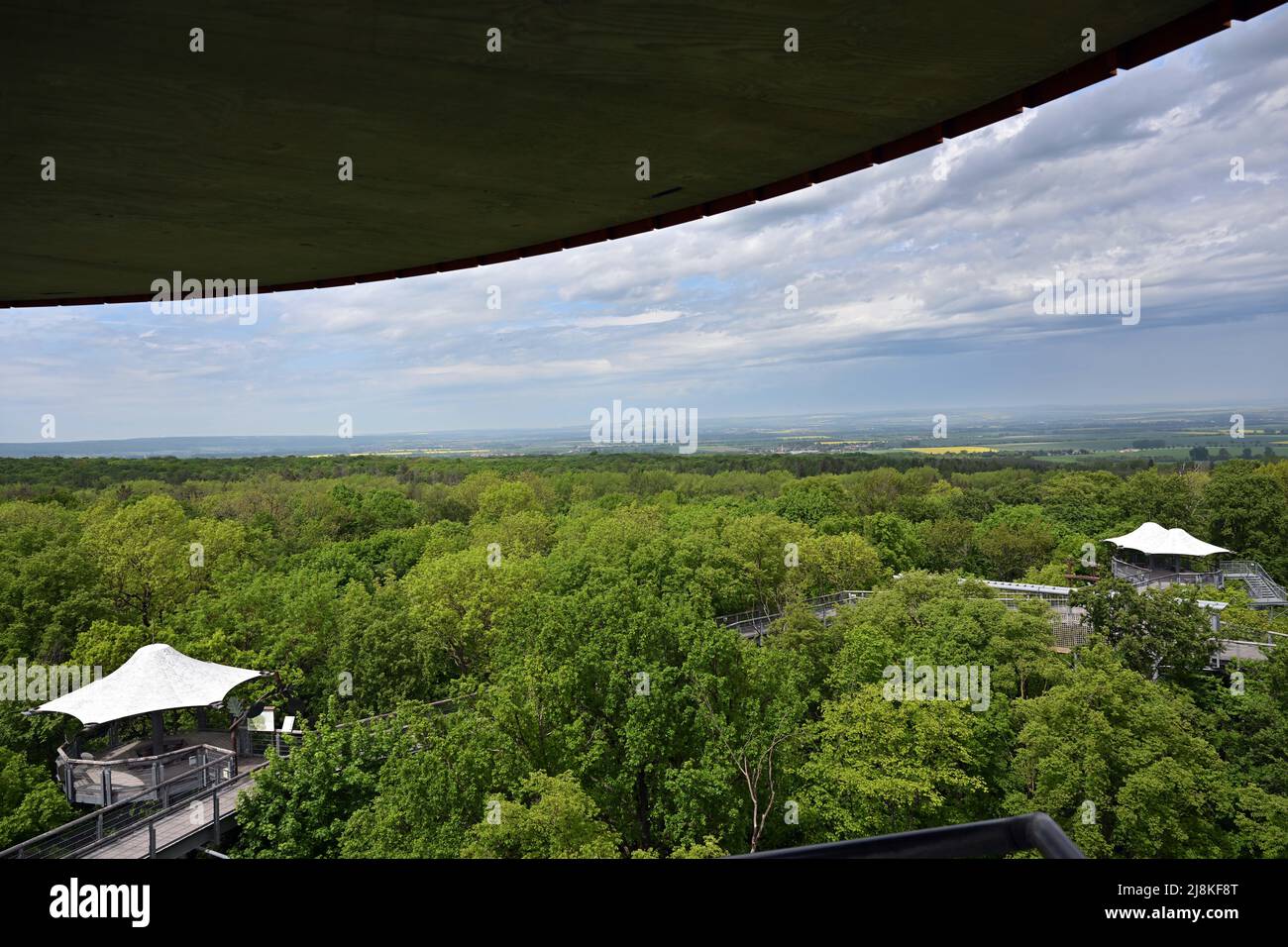 16 maggio 2022, Turingia, Schönstedt: Il sentiero delle cime degli alberi nel Parco Nazionale di Hainich non lontano da Bad Langensalza. Dal 2011 il parco nazionale fa parte del patrimonio mondiale dell'umanità, le foreste di faggio primevali dei Carpazi e le antiche foreste di faggio della Germania. Quest'anno, la conferenza annuale dei siti patrimonio mondiale dell'UNESCO in Germania ha il tema "Patrimonio mondiale: Apprezzamento - creazione di valore - conservazione del valore". Inizia il 17 maggio a Bad Langensalza. Circa 100 rappresentanti dei 51 siti patrimonio mondiale dell'UNESCO in Germania si riuniranno per scambiare idee ed esperienze. Foto Foto Stock