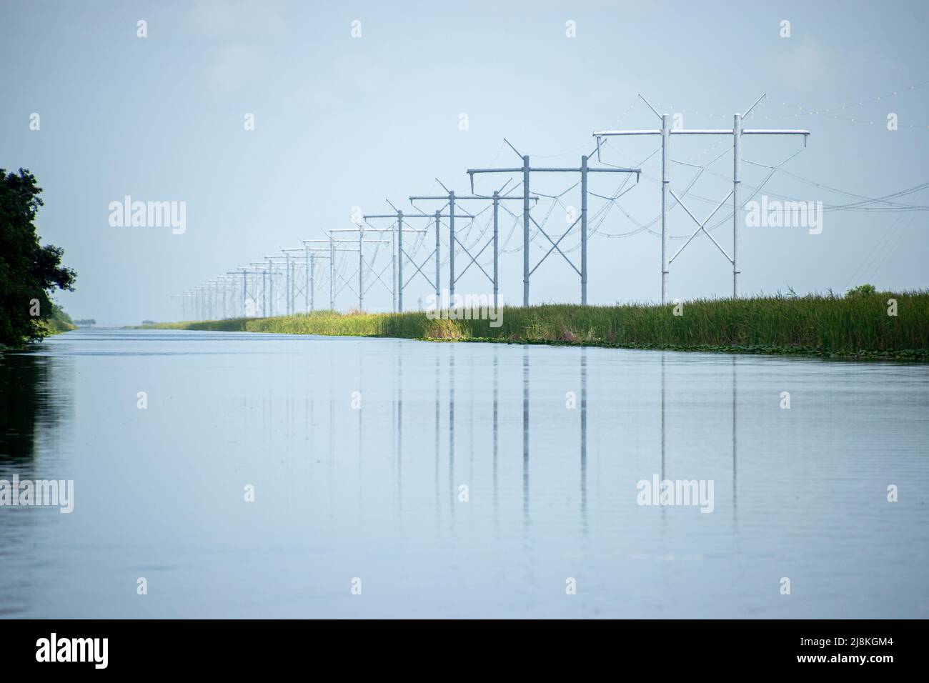 Linee elettriche ad alta tensione vicino al Parco Nazionale Everglades in Florida Foto Stock