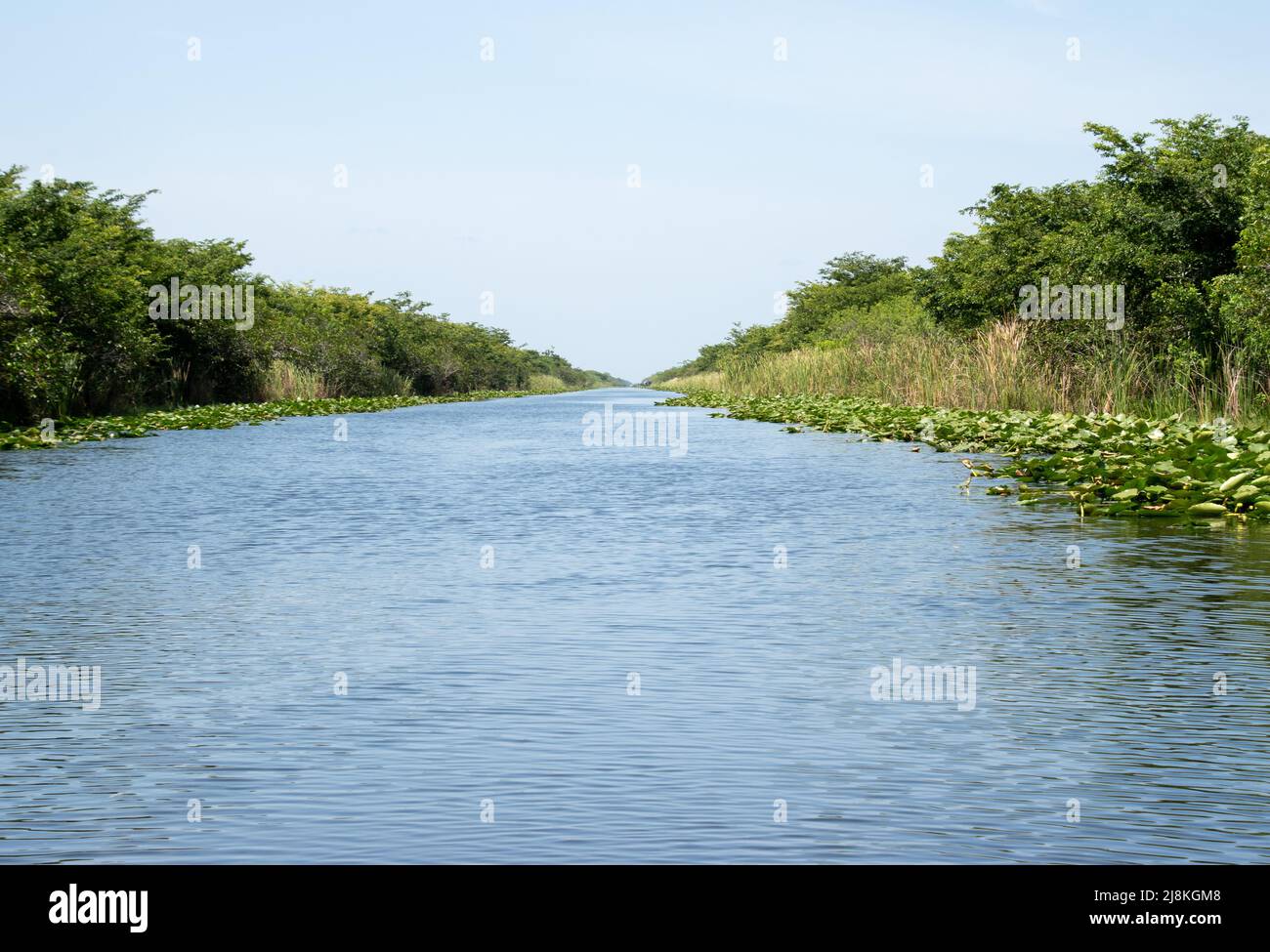 Una via d'acqua naturale dal Parco Nazionale Everglades in Florida Foto Stock