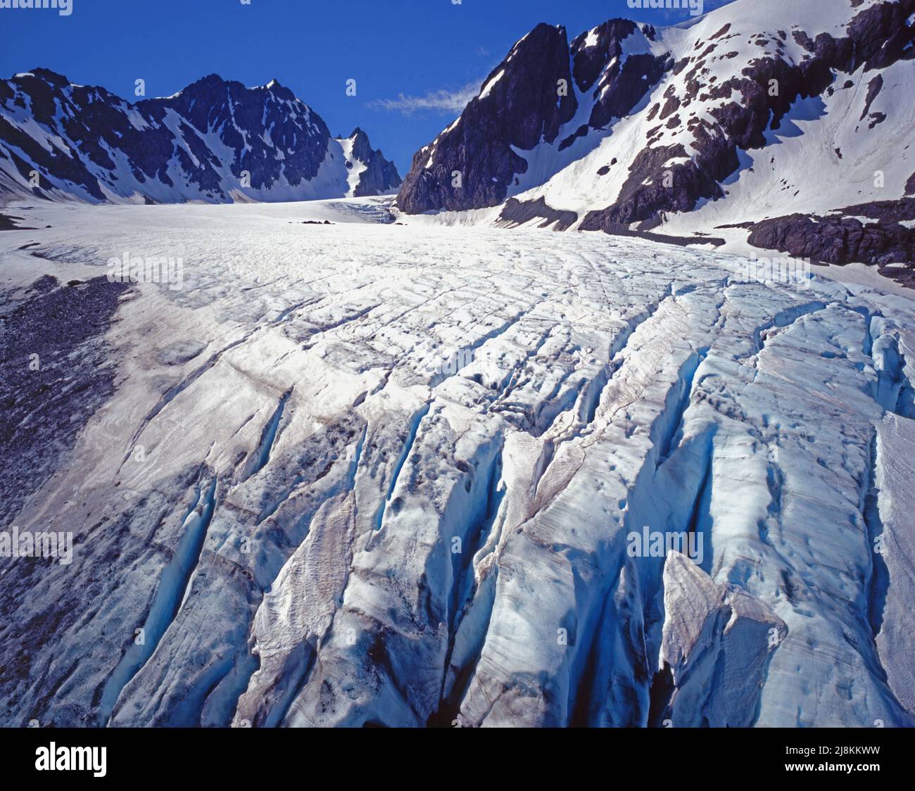 Capolinea del Ghiacciaio Blu, Monte Olympus, Olympic National Park, Washington Foto Stock