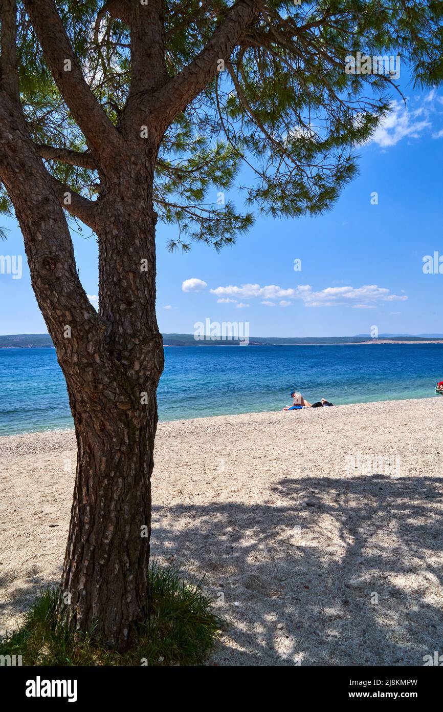 Pula, Croazia, 29 aprile 2022: Spiaggia di ghiaia spiaggia di ghiaia in n il sole con un tronco d'albero in primo piano e una lettura di pancia sulla riva di t Foto Stock