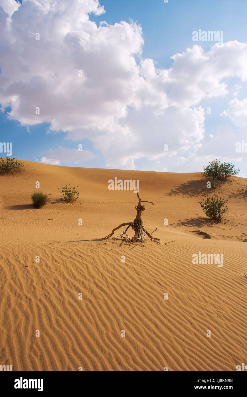 Sabbia nel deserto Foto Stock