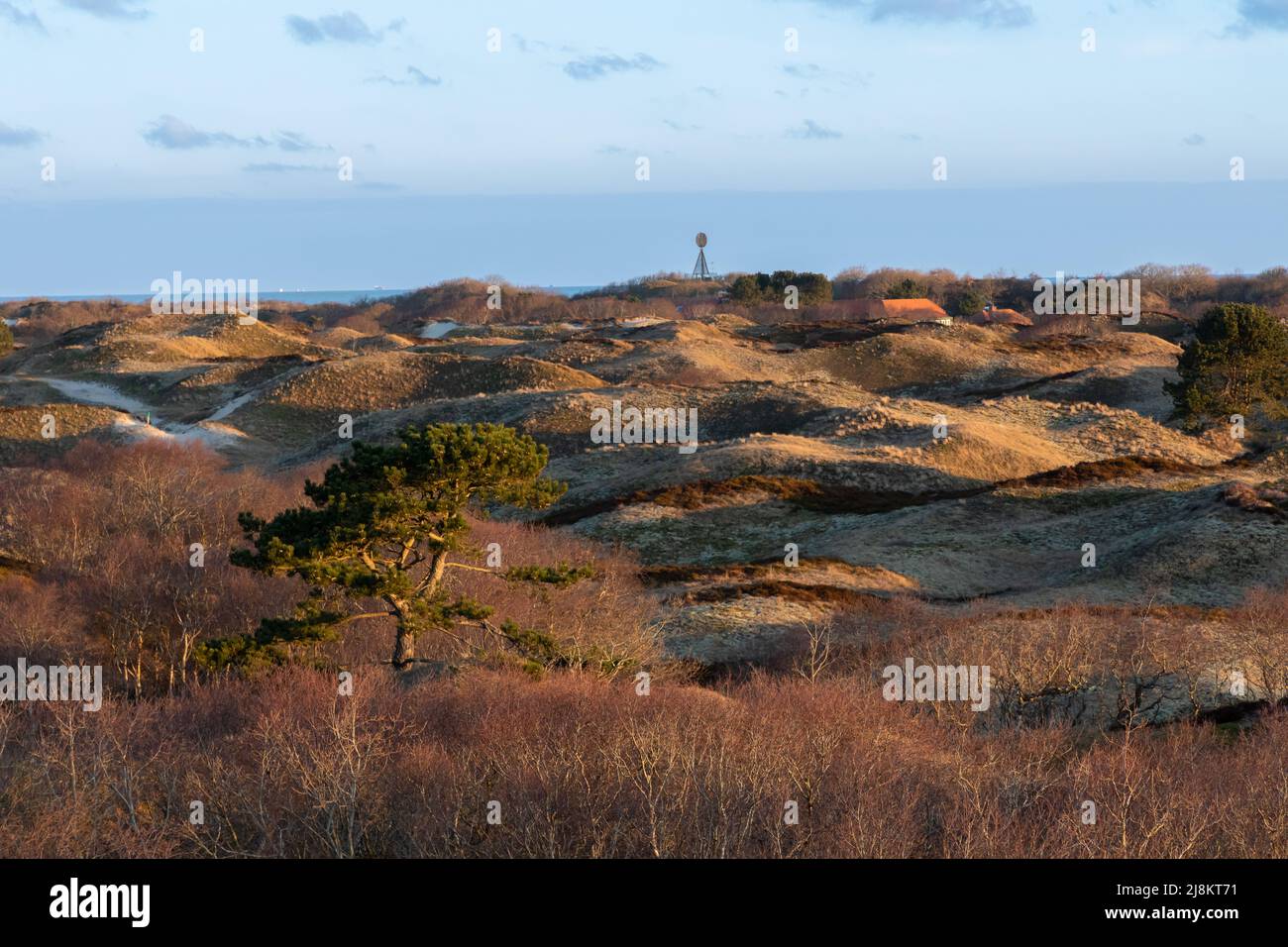 Dune caverate di piante a Spiekeroog, Germania Foto Stock