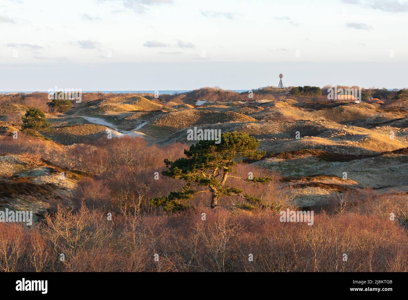 Dune caverate di piante a Spiekeroog, Germania Foto Stock