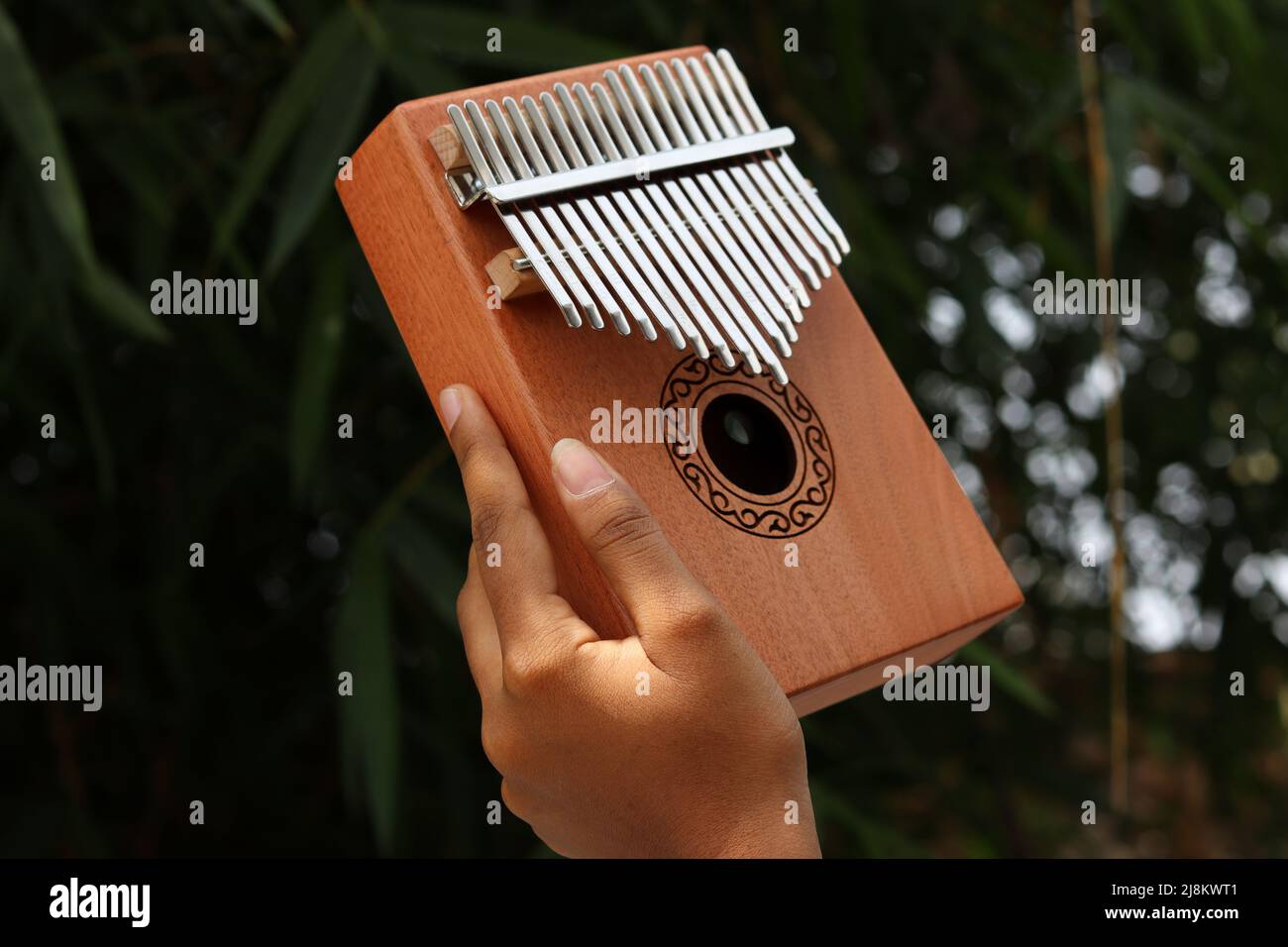 Kalimba uno strumento musicale africano con mano in giardino Foto Stock
