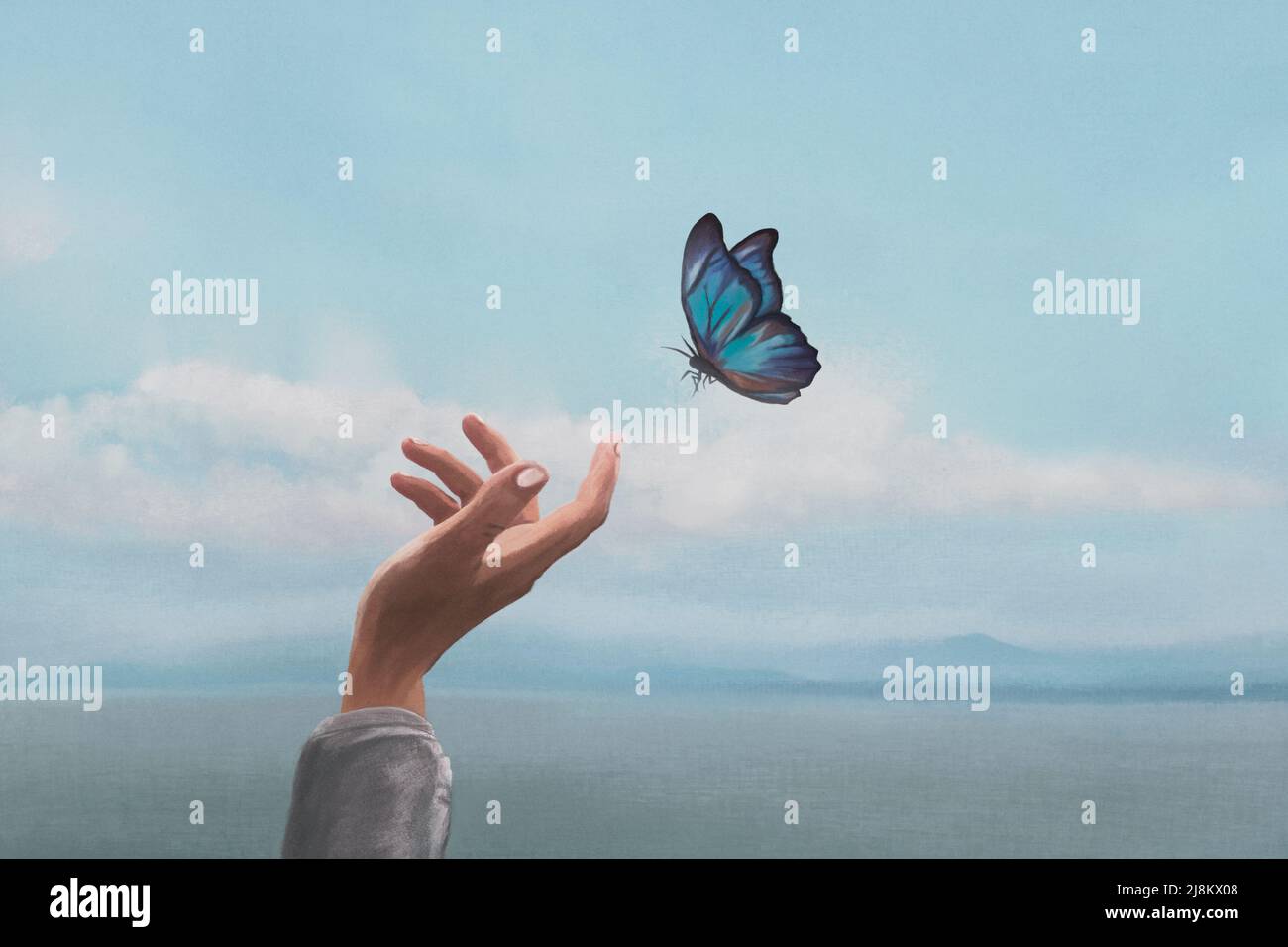 la farfalla colorata si stesa sulla mano di una donna Foto Stock