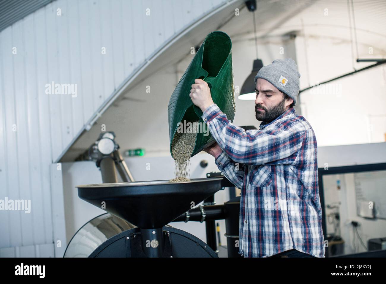 Torrefattore caffè maschile versare i chicchi di caffè crudo in una moderna tostatrice Foto Stock