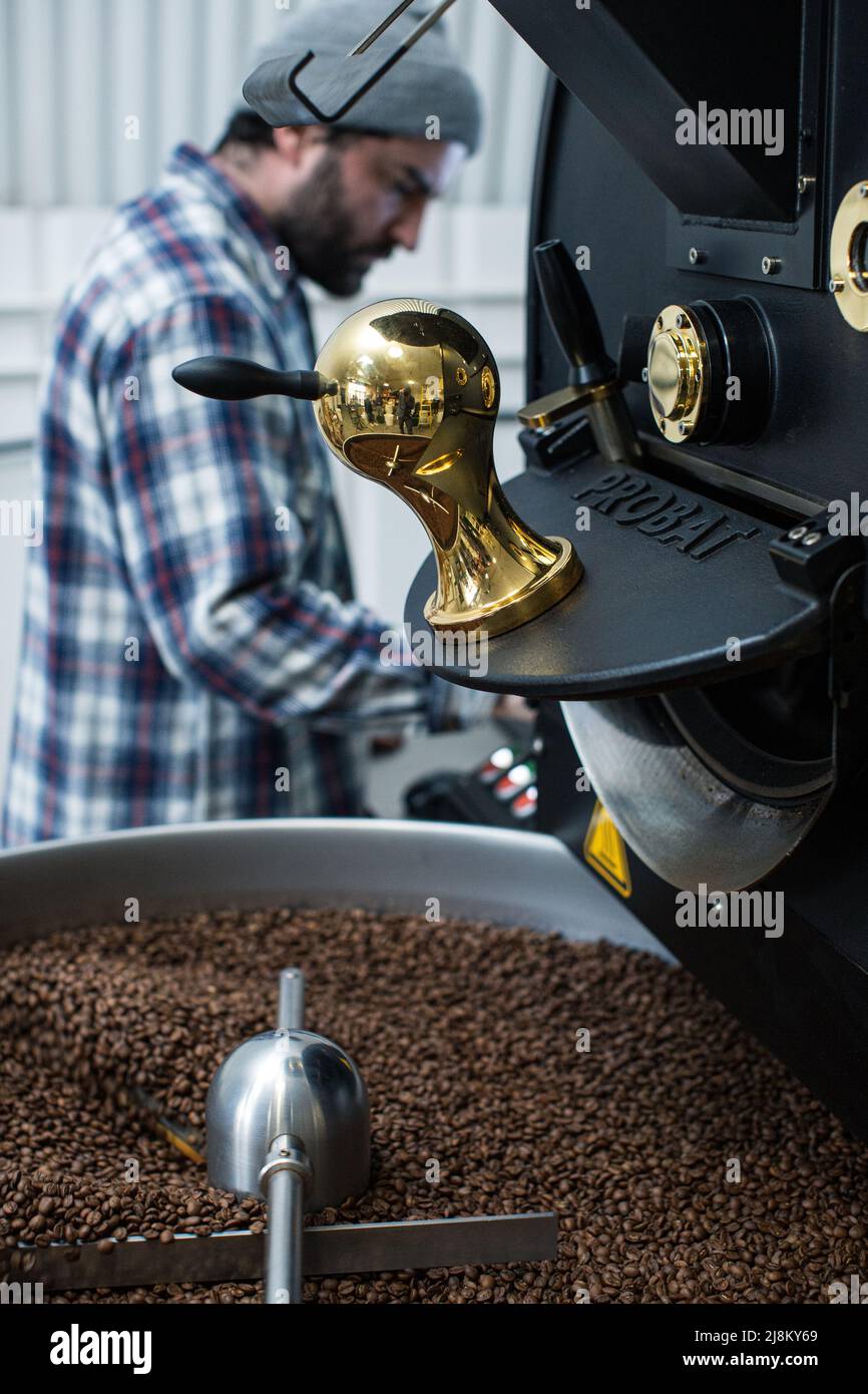 Un torrefattore controlla i chicchi di caffè durante la tostatura Foto Stock