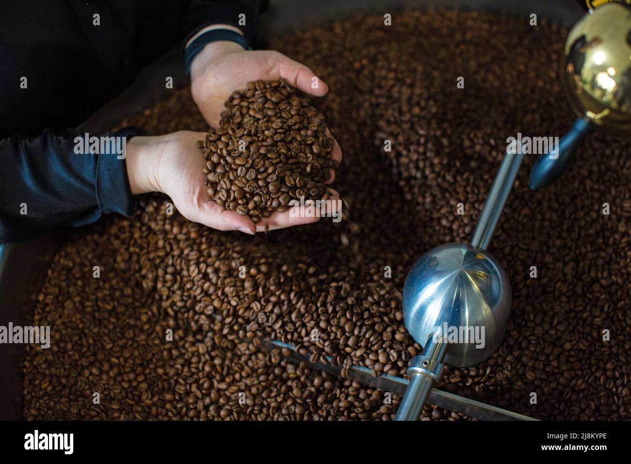 Uomo che tiene i chicchi di caffè torrefatti , la mano dell'uomo che tiene i chicchi di caffè dal torrefattore Foto Stock