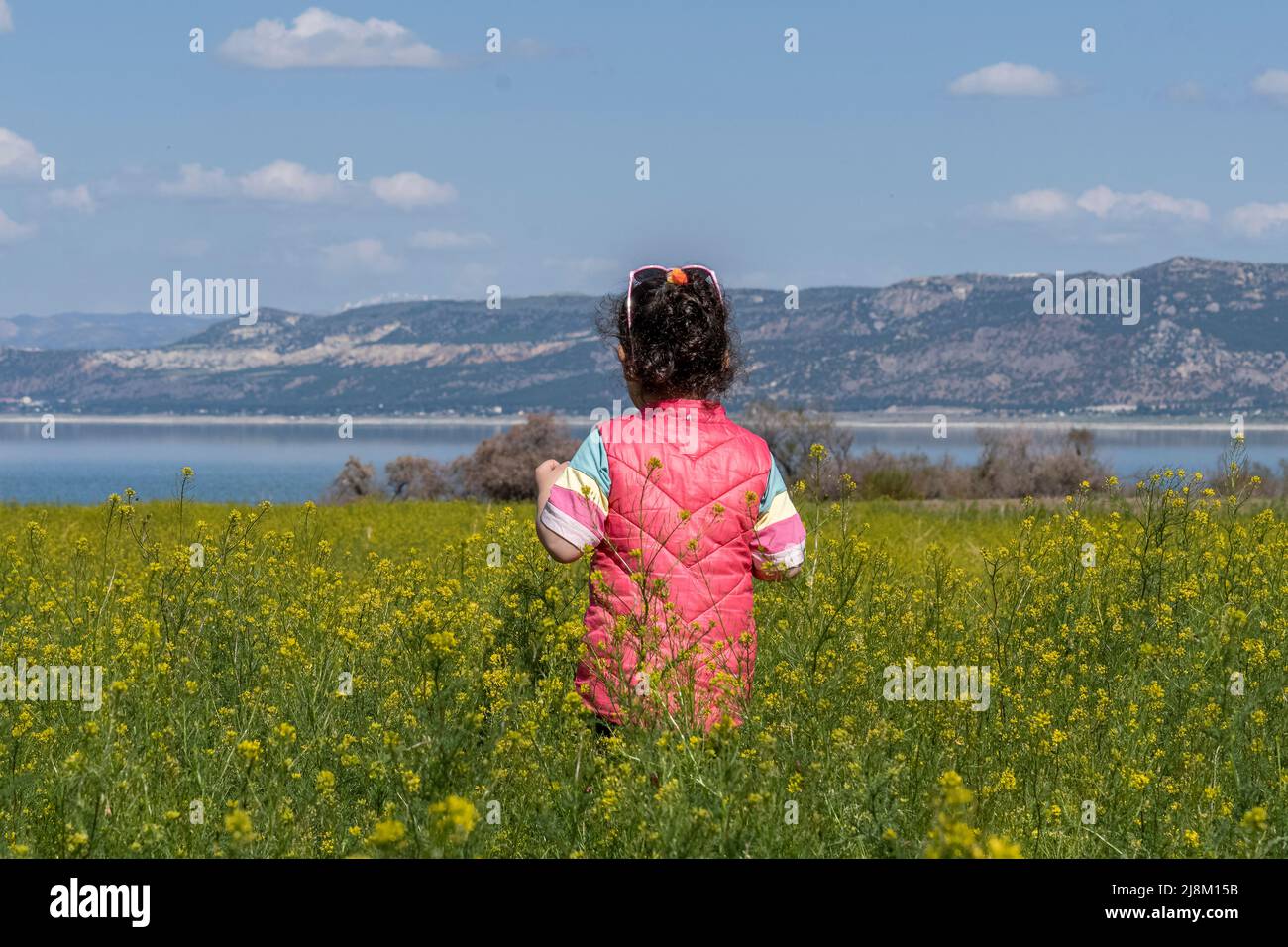 Back close-up shot di ragazza che cammina in campo senape con fuoco selettivo. Foto Stock