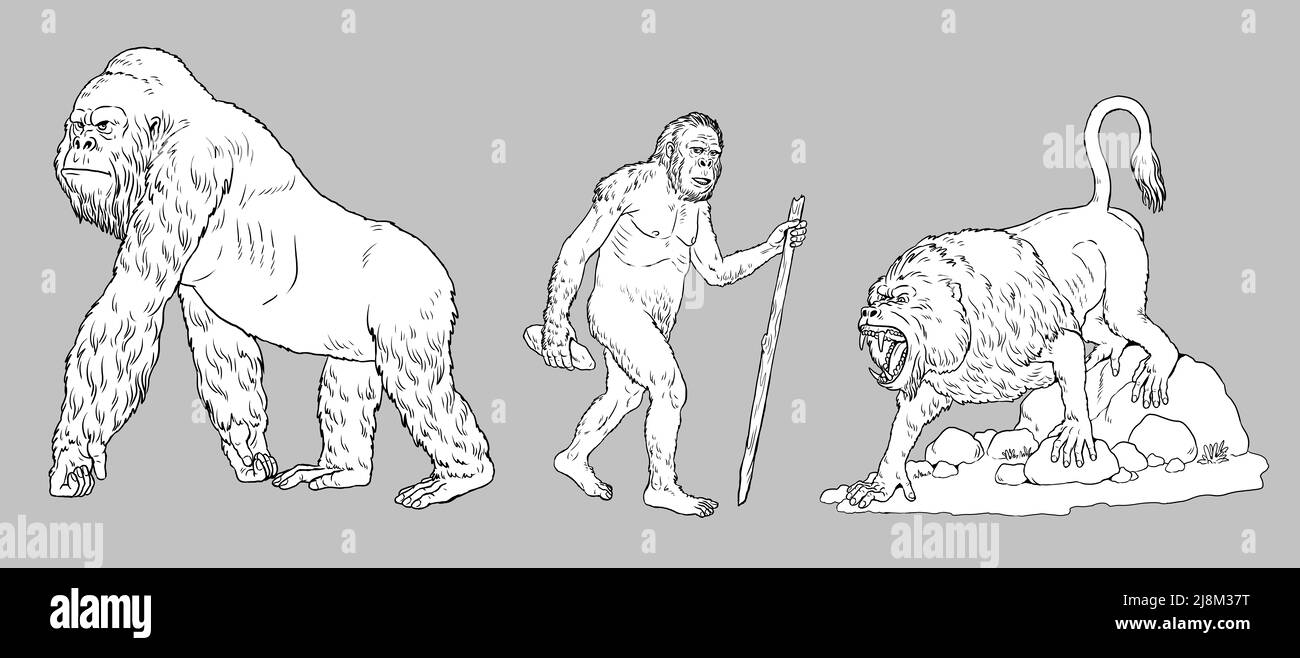 Primati preistorici gigantopithecus, dinopithecus e australopithecus. Antenati di esseri umani per colorare libro. Foto Stock