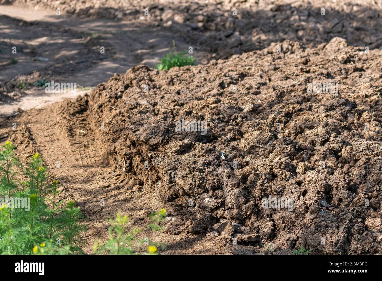 Immagine di sterco di vacca in balle. Foto Stock