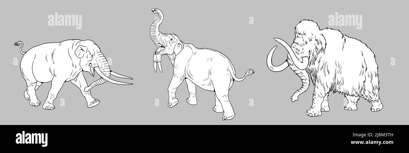 Animali preistorici. Mammoth, mastodon e deinotherium. Pagina da colorare con elefanti estinti. Foto Stock