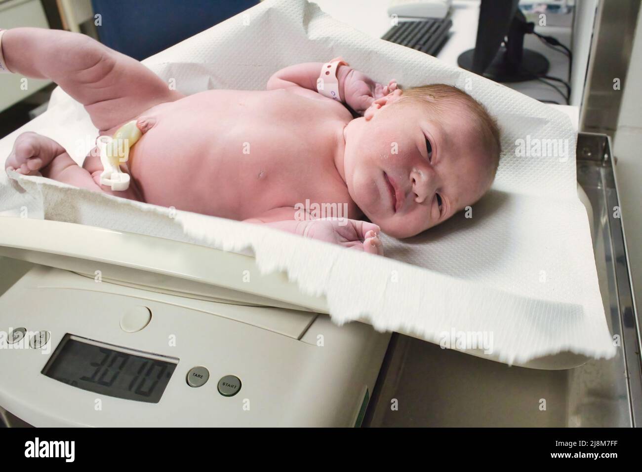 Un neonato pesato in bilance digitali presso il reparto di maternità in ospedale Foto Stock