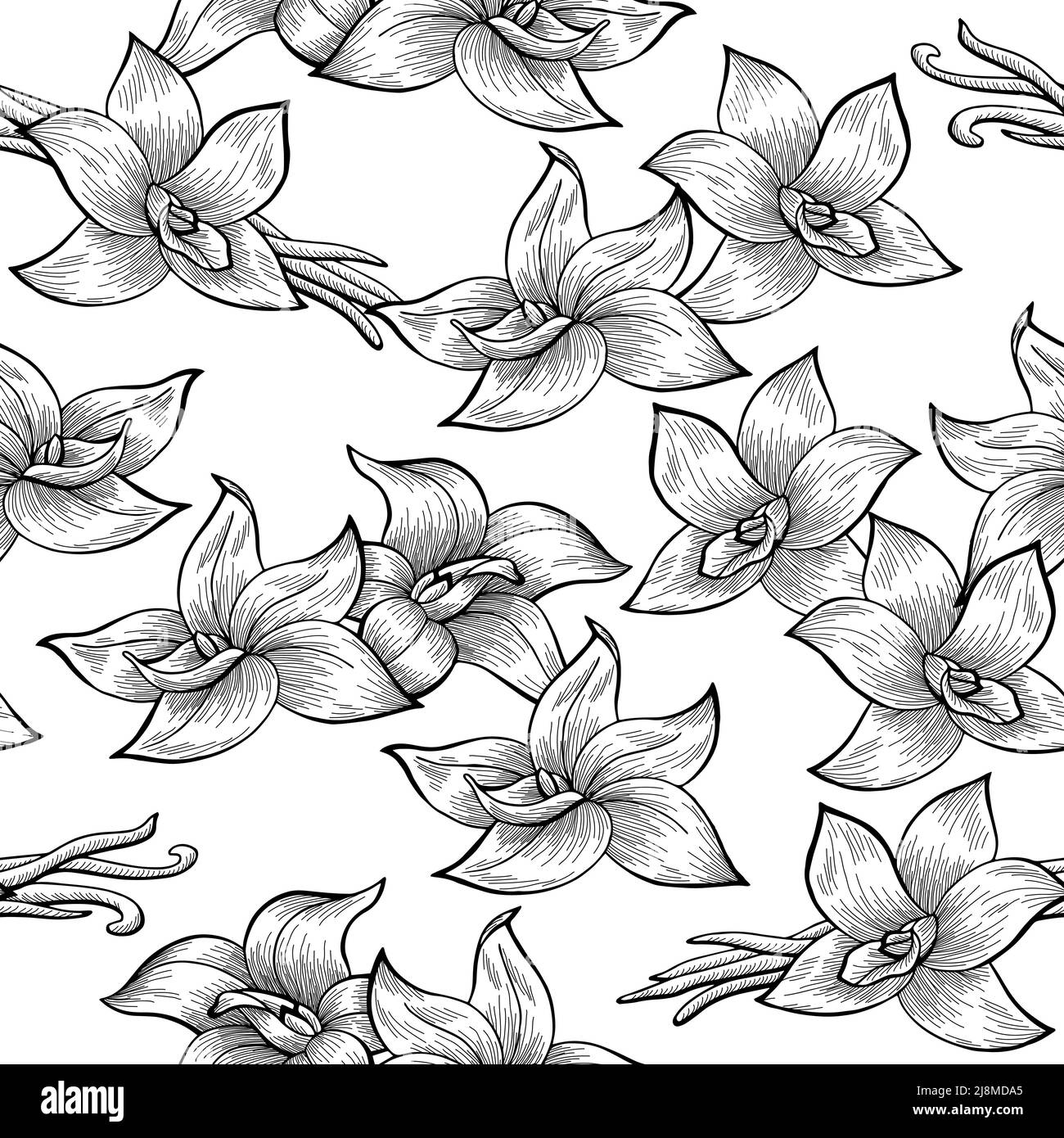 Baccello vaniglia fiore bianco bianco bianco senza cuciture motivo sfondo vettore illustrazione Illustrazione Vettoriale