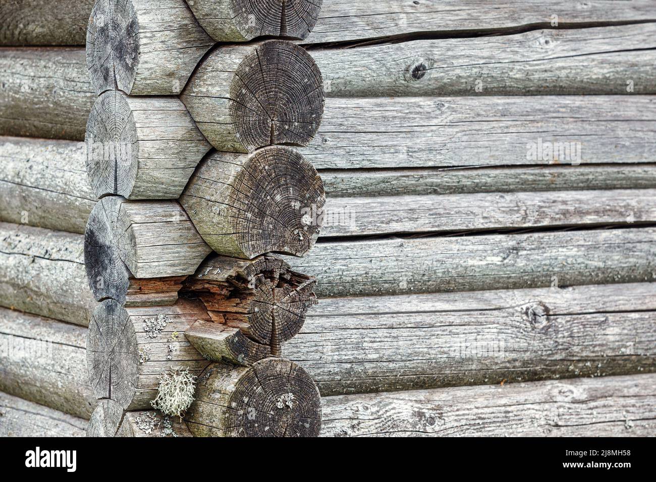 Primo piano su una vecchia trave in legno. Bellissimo disegno in legno e con alcuni licheni. Su un antico casale in campagna Foto Stock
