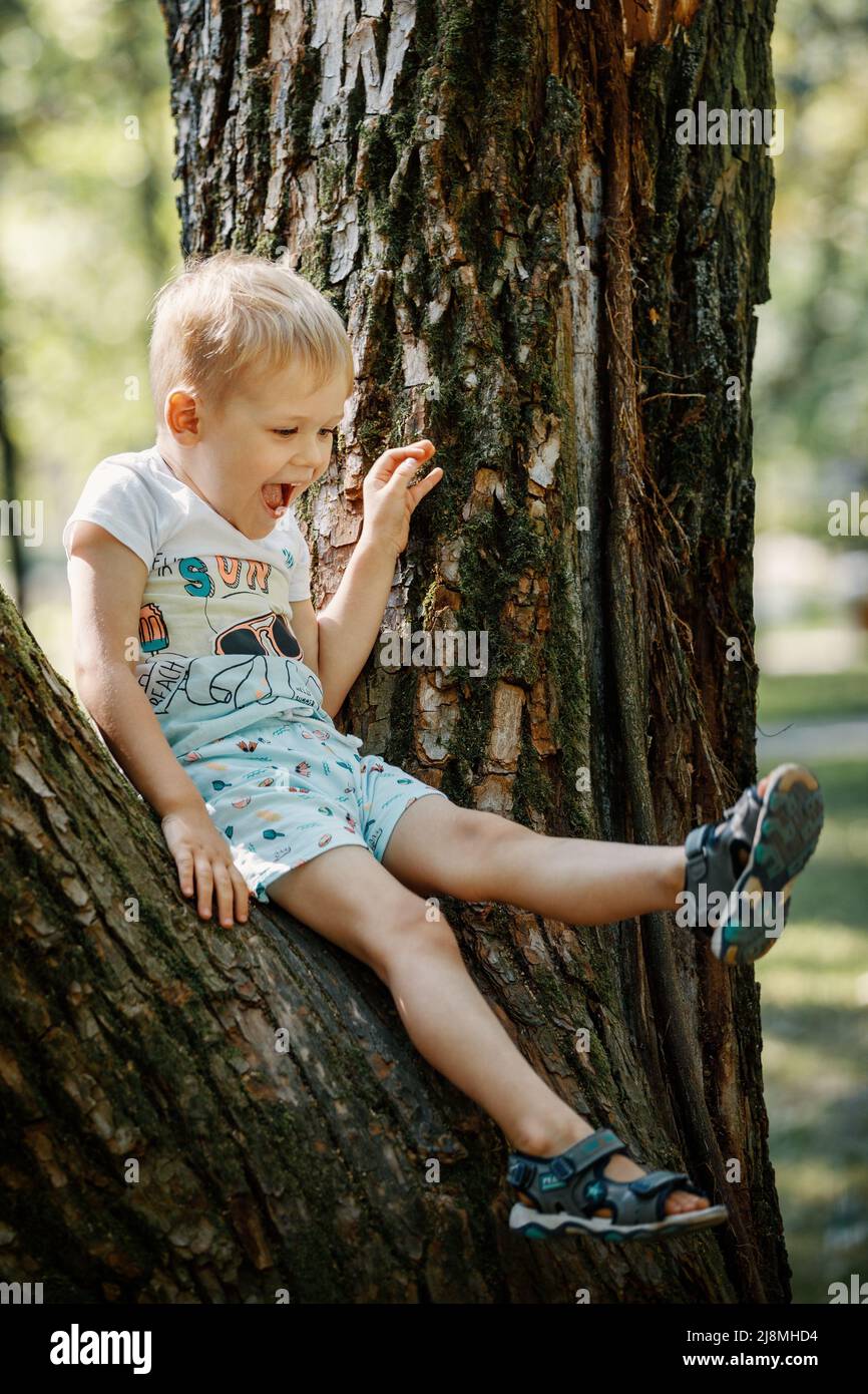 Il ragazzino siede su un ramo di un grande albero. Giochi per bambini. Tempo di famiglia attivo sulla natura. Escursioni con bambini piccoli. Foto Stock