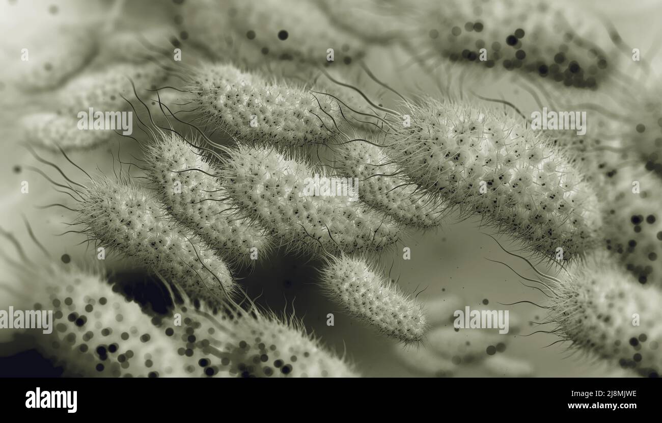 Escherichia coli, colonia di batteri 3D illustrazione. Microrganismi in ambiente acquatico al microscopio. Probiotici. Batteri intestinali Foto Stock