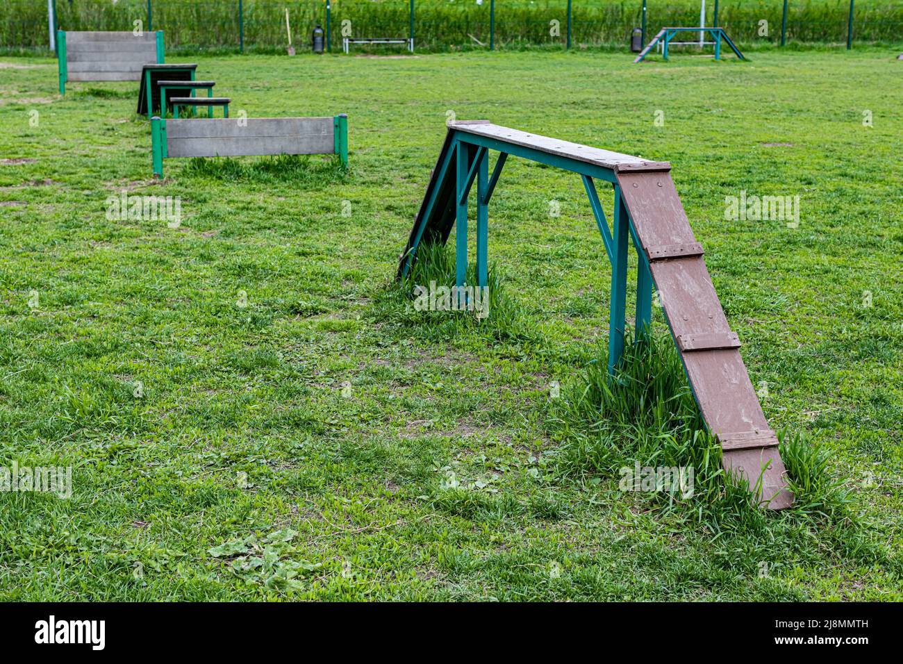 registrare l'ostacolo sul terreno di addestramento del cane. Foto di alta qualità Foto Stock