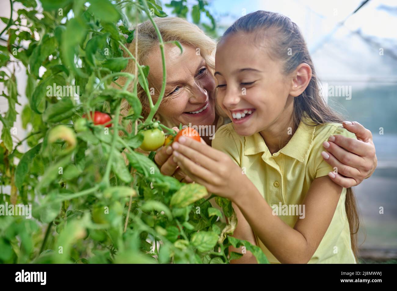 Donna abbracciante ragazza felice guardando pomodori crescenti Foto Stock