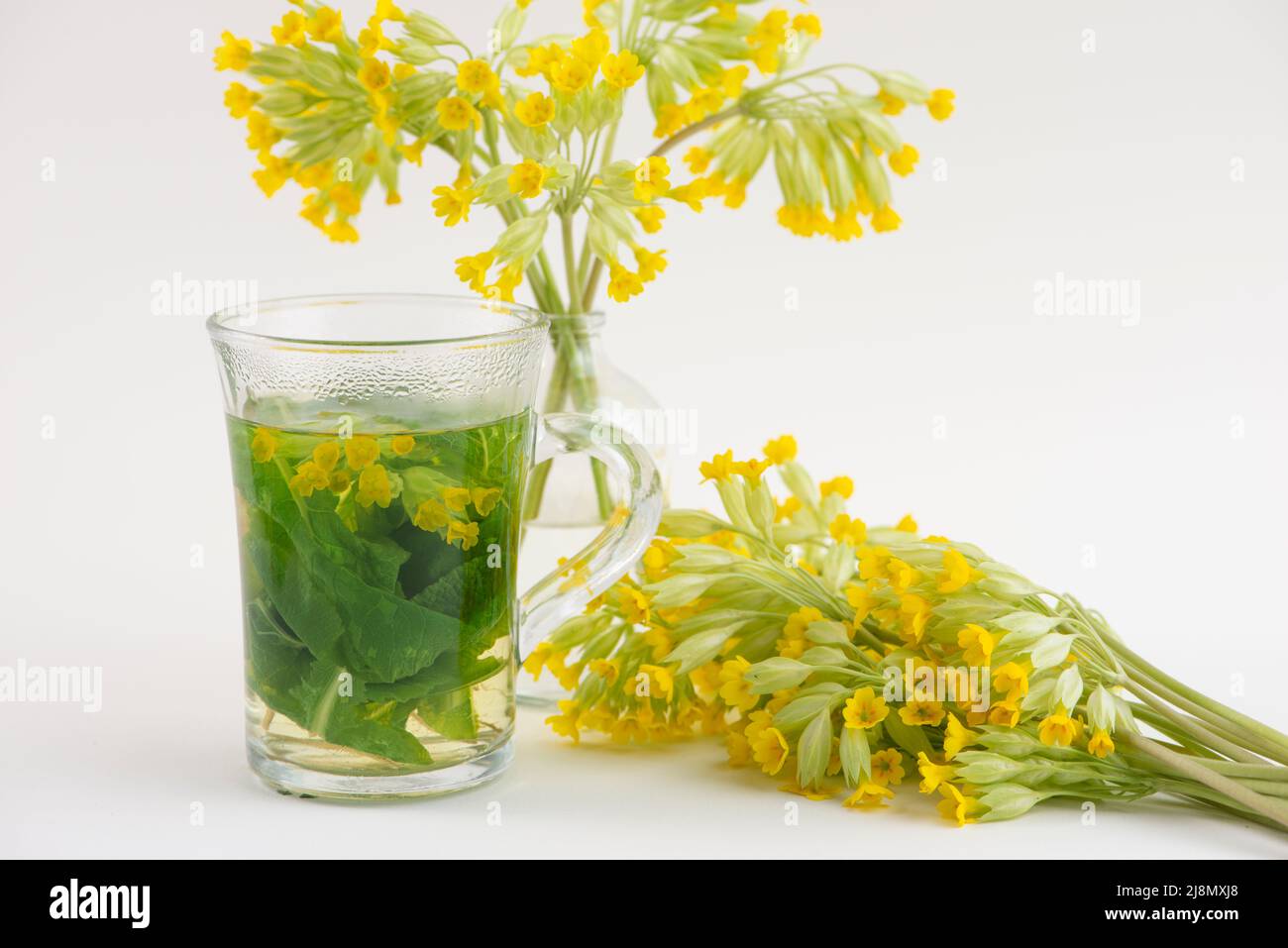 Bicchiere di cowslip, Primula veris, tè e fiori freschi cowslip. Foto Stock