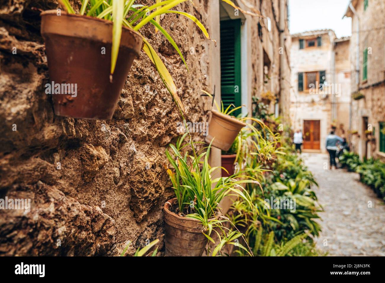 Primo piano di piante in vaso sulle mura di un vecchio edificio nella città storica Foto Stock
