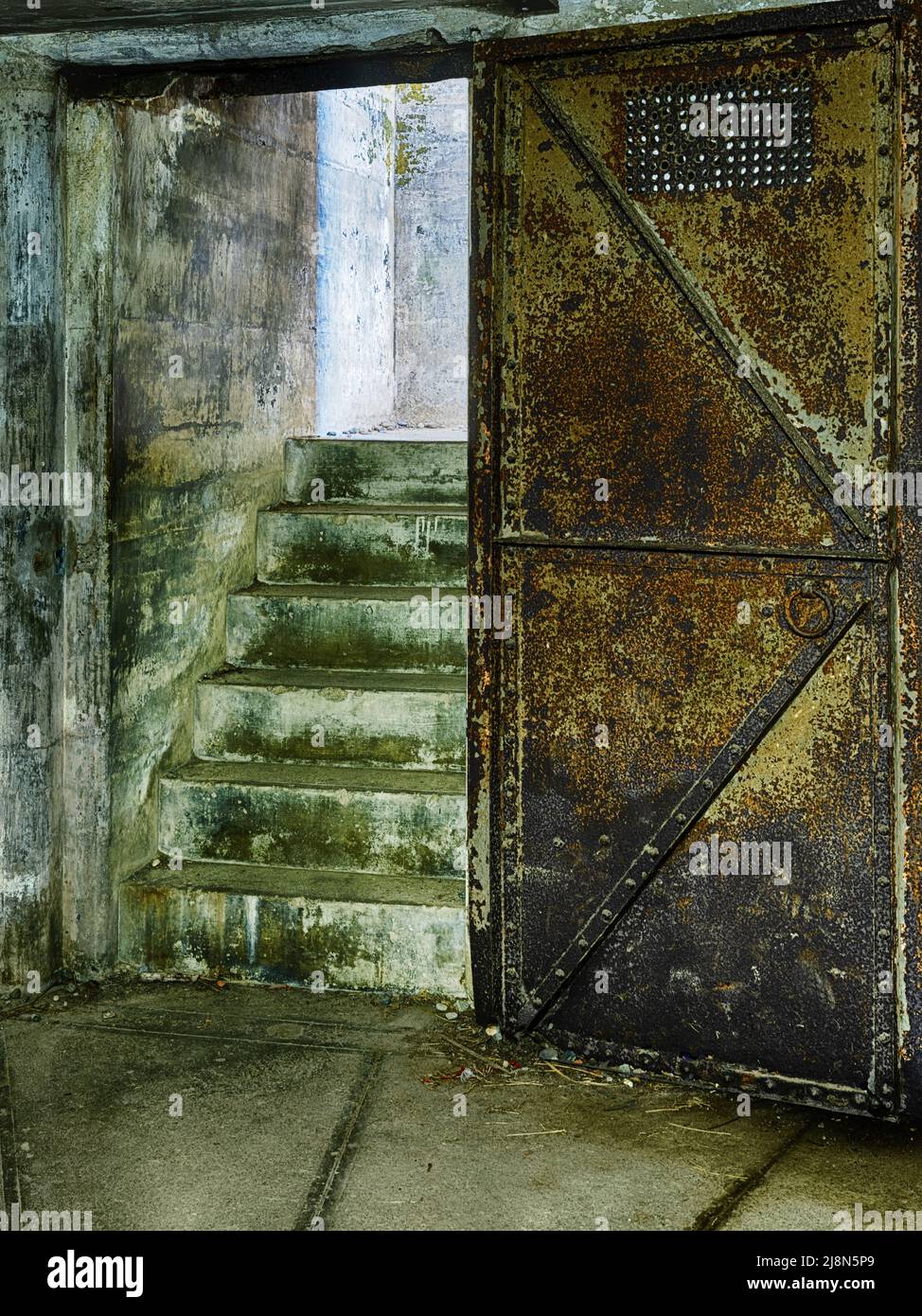 Le scale che escono dalle sale del seminterrato a Fort Casey sembrano essere coperte da uno strato chiaro di muffa verde. Foto Stock