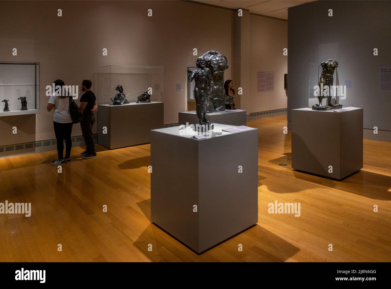 Il Columbia Museum of Art Main Street Columbia SC Foto Stock