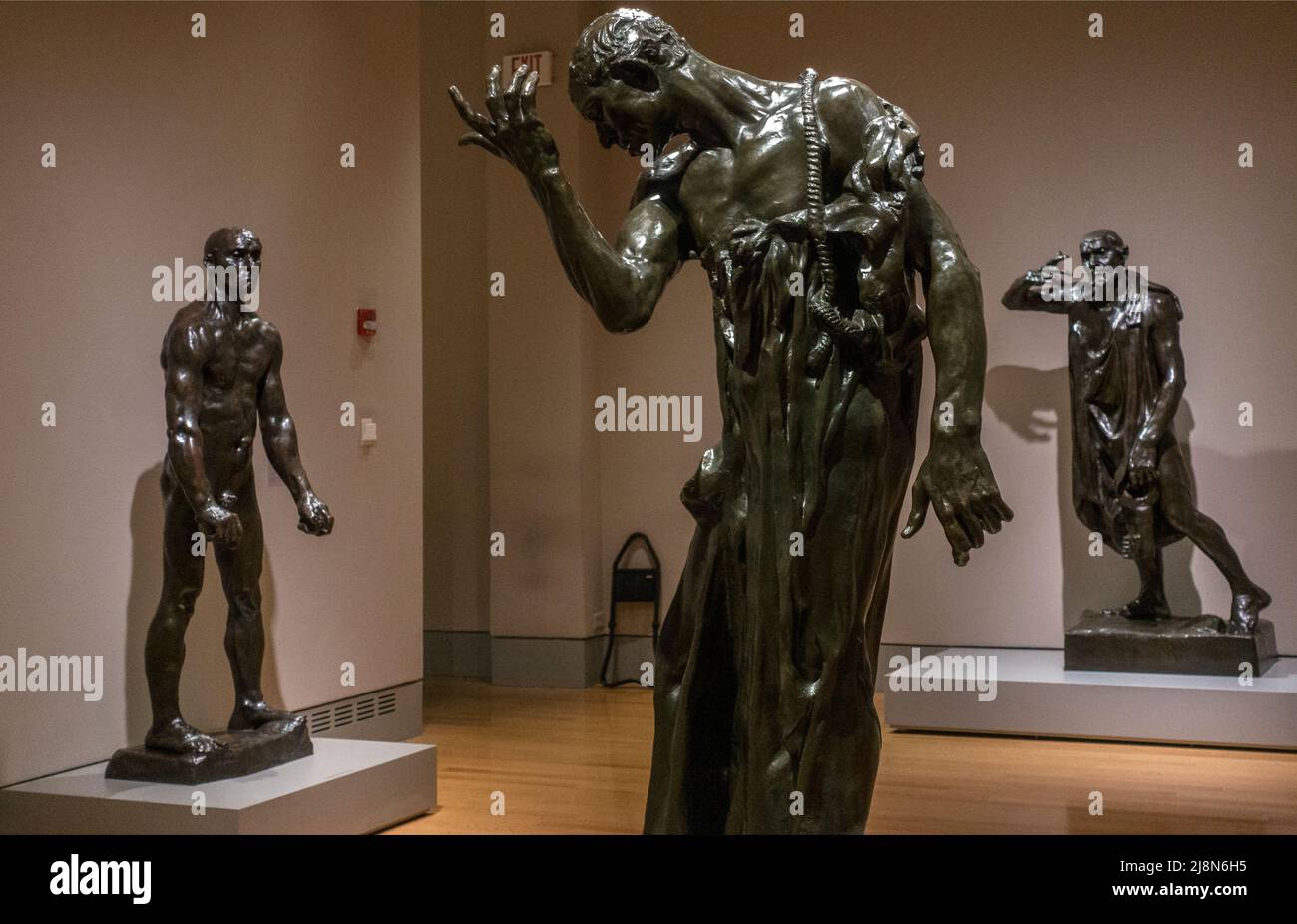 Il Columbia Museum of Art Main Street Columbia SC Foto Stock