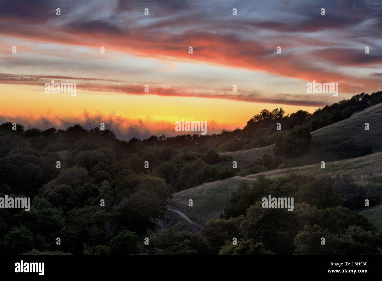 Spettacolare tramonto sulle montagne di Santa Cruz attraverso la Russian Ridge Preserve nella contea di San Mateo, California, USA. Foto Stock