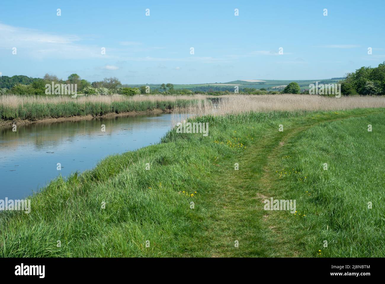 Splendido scenario pittoresco di un sentiero che conduce intorno al fiume Arun nel Sussex occidentale, Inghilterra. Parte dell'area panoramica di South Downs. Foto Stock