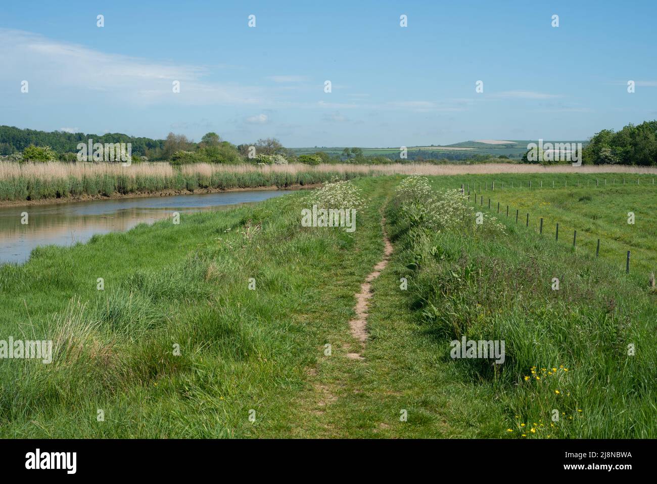 Splendido scenario pittoresco di un sentiero che conduce intorno al fiume Arun nel Sussex occidentale, Inghilterra. Parte dell'area panoramica di South Downs. Foto Stock