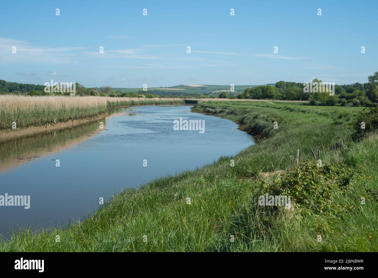 Splendido scenario pittoresco di un sentiero che conduce intorno al fiume Arun nel Sussex occidentale, Inghilterra. Parte dell'area panoramica di South Downs. Foto Stock