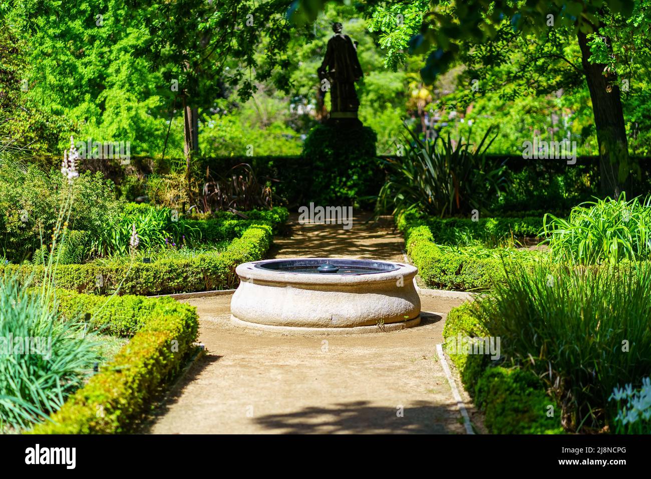 Strada sterrata in un bellissimo parco di piante verdi e piccola fontana in pietra. Foto Stock