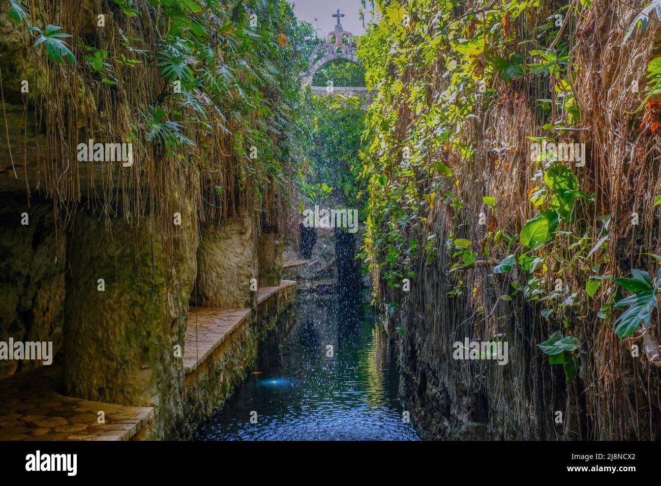 Un bel canale che conduce ai cenotes sotterranei a Hacienda-Cenotes Mucuyuche, Yucatan , Messico Foto Stock