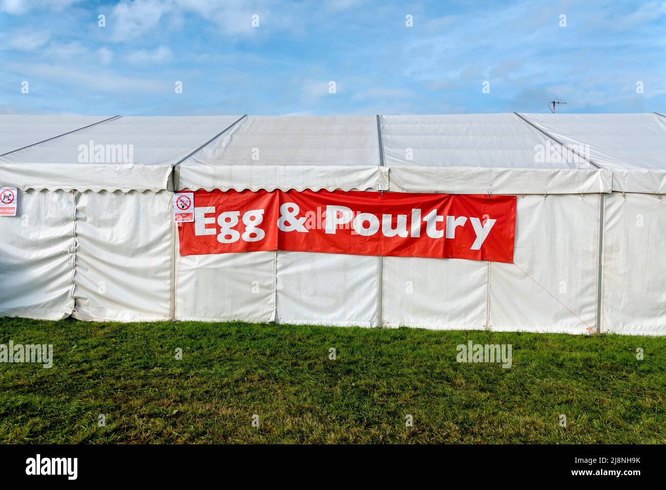 Frome, Somerset, UK - Settembre 11 2021: Il Marchese delle uova e del pollame al Salone delle Frome Agricultural and Cheese al 2021 Foto Stock