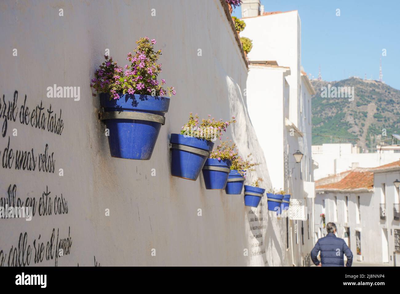 Vasi di fiori villaggio lavato di Mijas pueblo, Andalusia, provincia di Malaga, Spagna Foto Stock