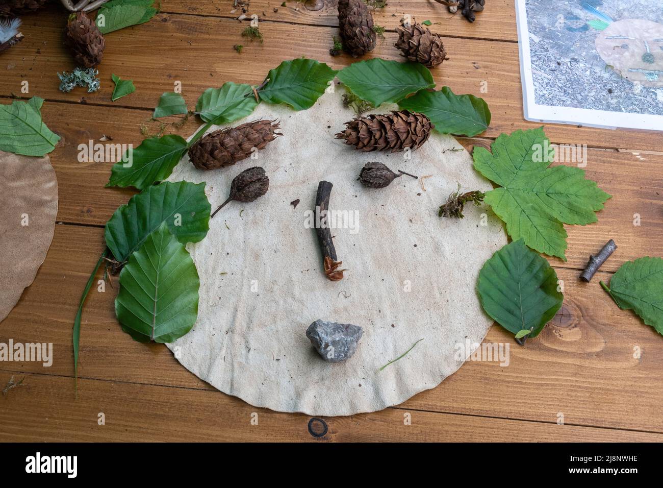 Attività della scuola forestale, natura faccia fatta da bambini che imparano all'esterno nell'ambiente, collegando i bambini con la natura, Regno Unito Foto Stock