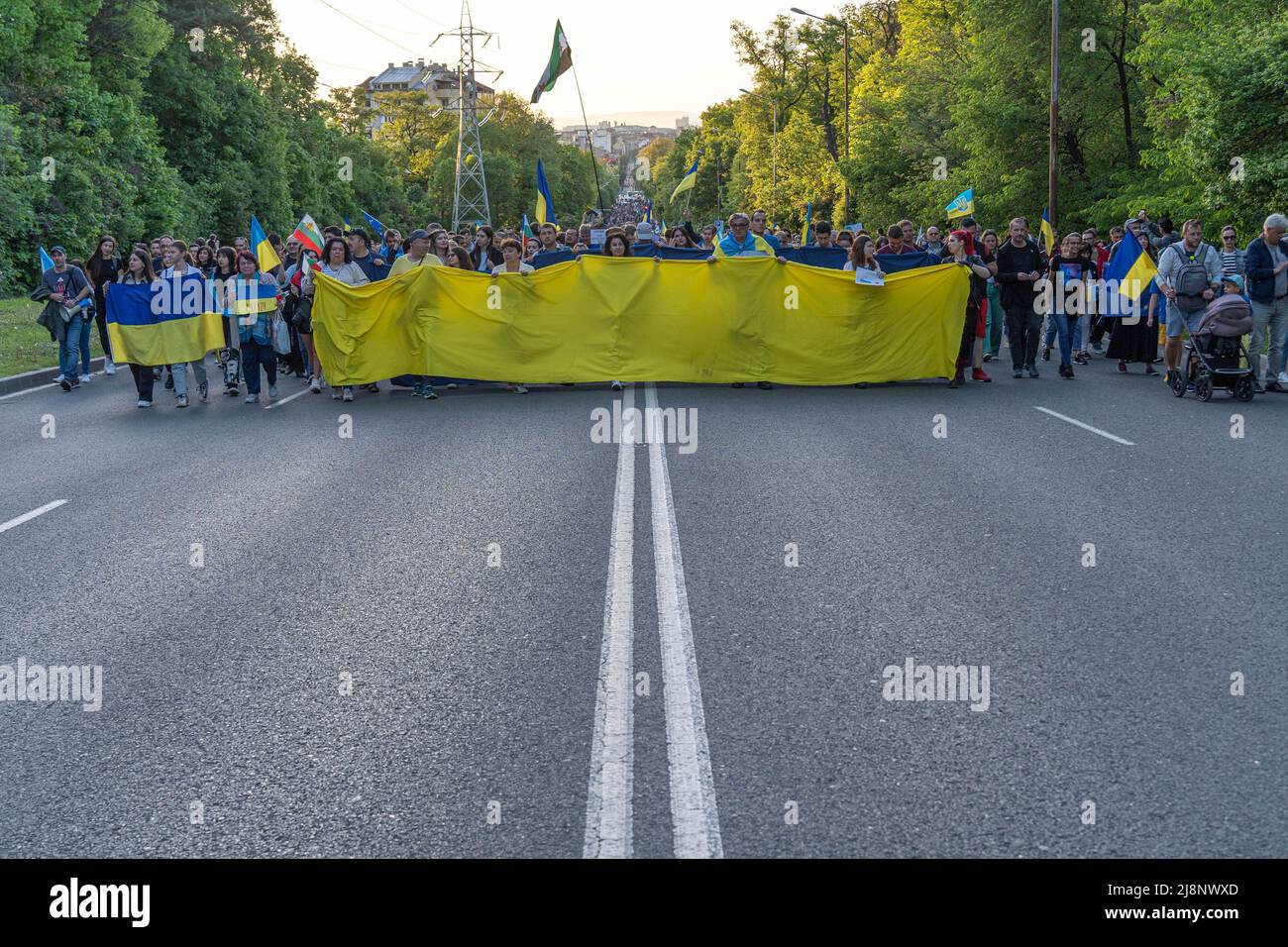 Una strada cittadina è bloccata con una linea di maschi e femmine che camminano con una bandiera gigante dell'Ucraina nelle loro mani alla marcia di sostegno Ucraina Foto Stock