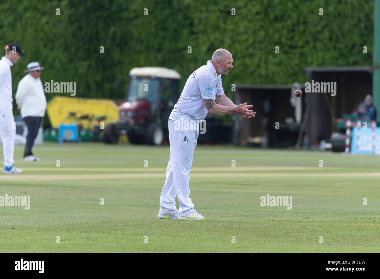 Cricketer Kent Darren Stevens Foto Stock