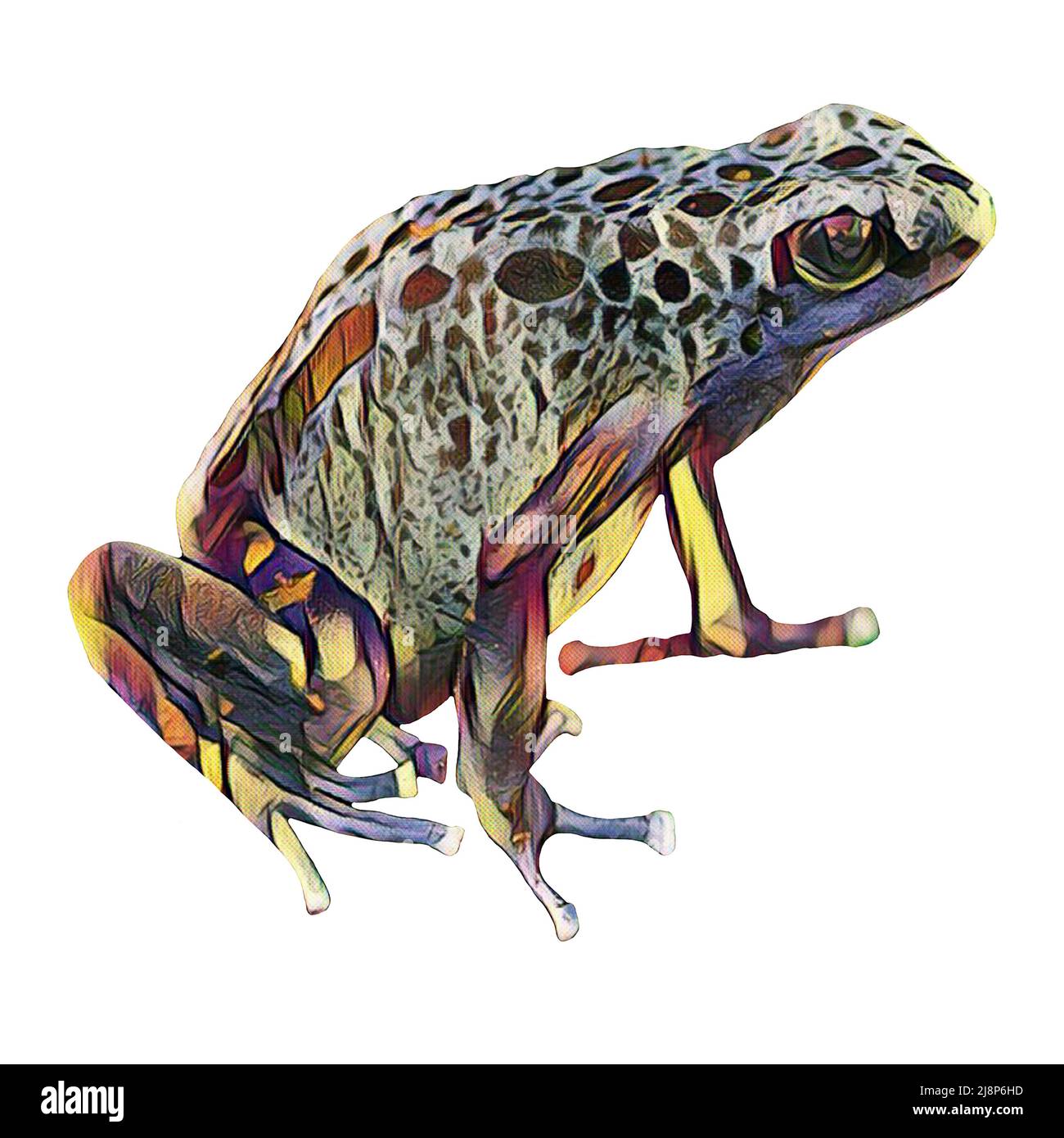 Facile da tagliare, rana disegnata a mano su sfondo bianco per la tua creatività Foto Stock