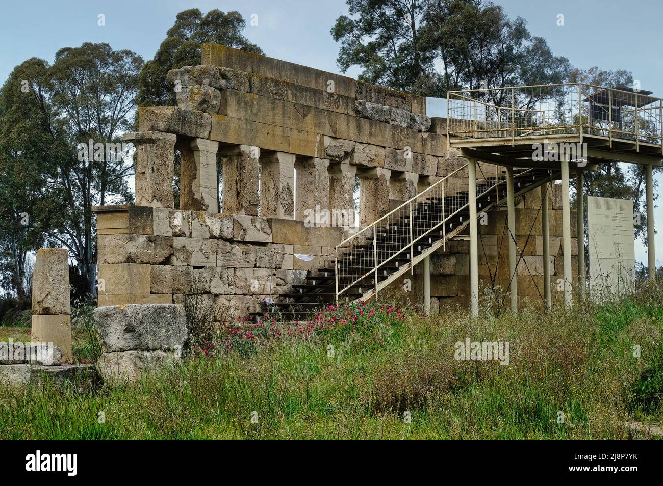 Il Parco Archeologico di Metaponto in Basilicata, antica colonia di Magna Grecia poi conquistata dai Romani nel 3rd a.C. Foto Stock