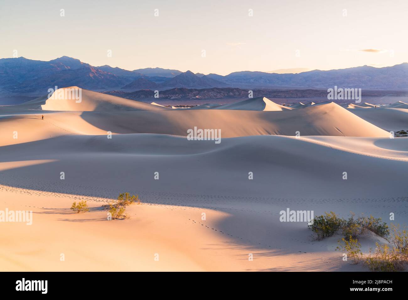 Sunrise sopra le dune di sabbia a Mesquite Flats nel Death Valley National Park all'alba Foto Stock